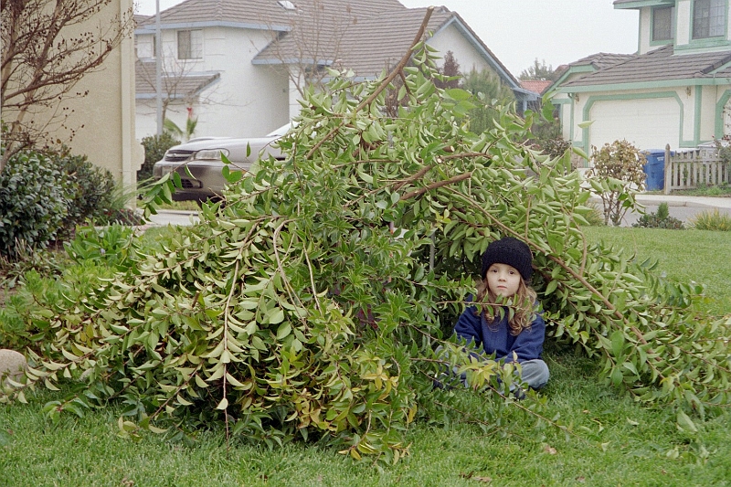 2004-12 017 Abby builds a fort.JPG